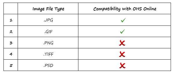 When uploading my company logo to OHS Online, what image file types can I use? When uploading my company logo to OHS Online, what image file types can I use?