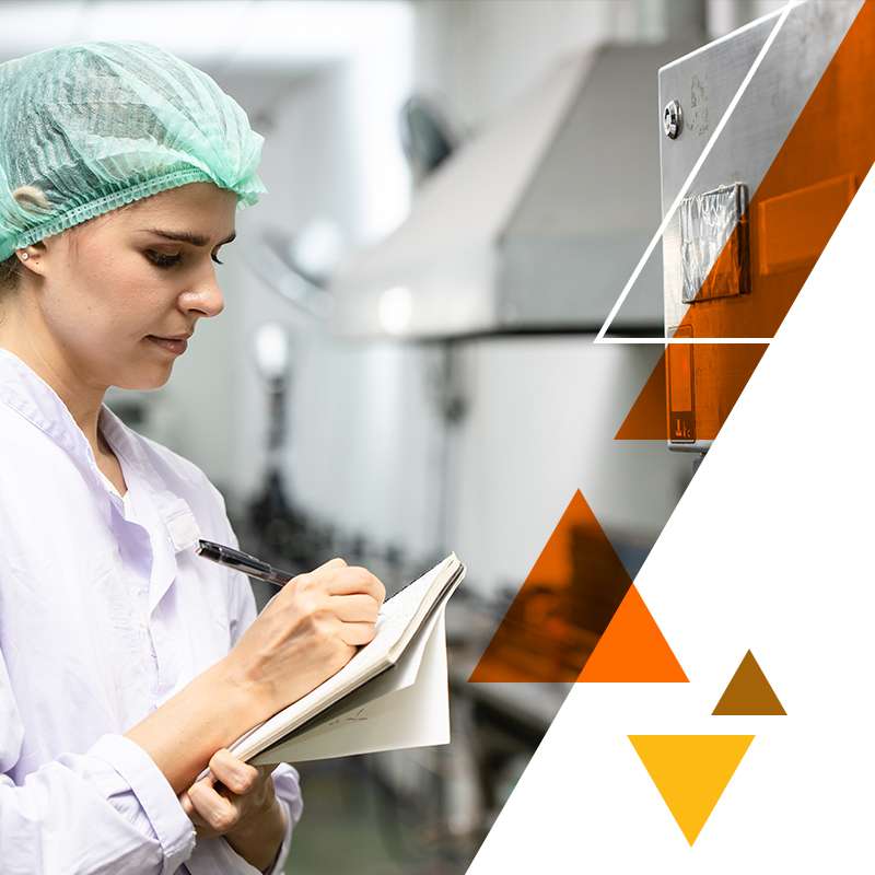 Compliance Grading audit icon