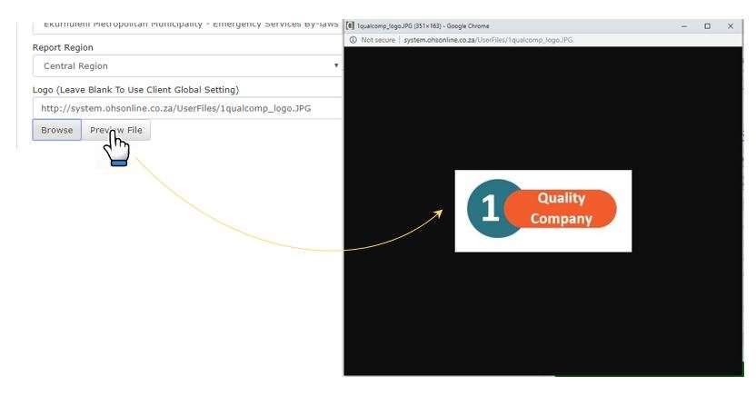 How do I check if my company logo is correct in OHS Online?
