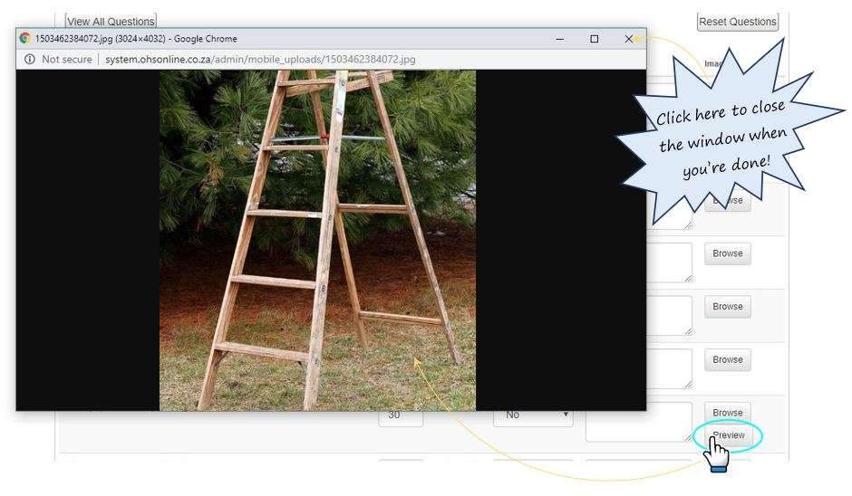 In OHS Online, what does the Preview button do in an inspection checklist? In OHS Online, what does the Preview button do in an inspection checklist?
