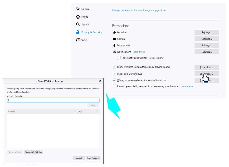 (Mozilla Firefox) When I try to run an action in SafetyWallet nothing happens. What is wrong? (Mozilla Firefox) When I try to run an action in SafetyWallet nothing happens. What is wrong?
