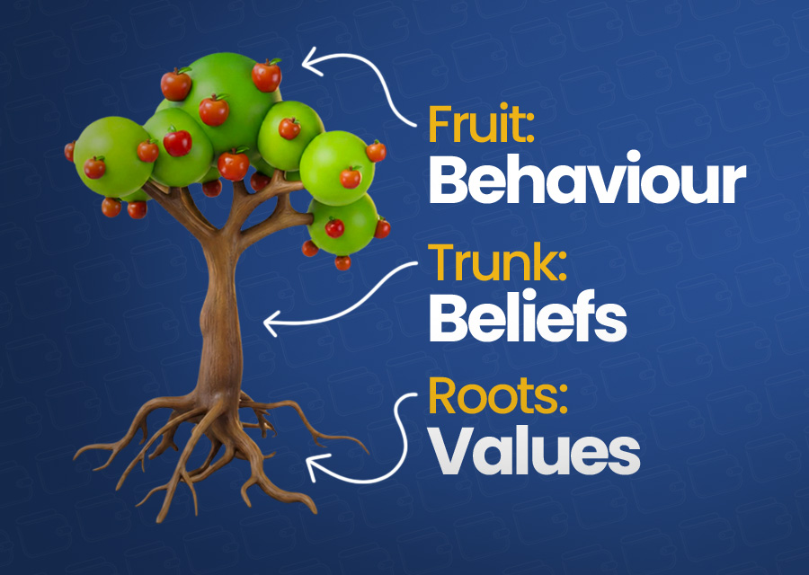 MES Root-to-Fruit model linking beliefs attitude and behaviour in a behavioural safety programme